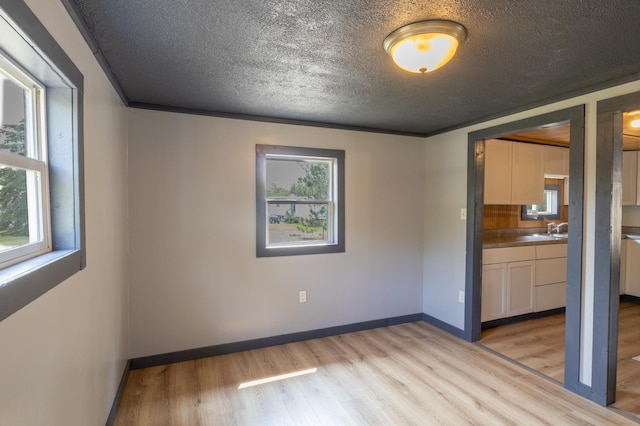 spare room featuring a wealth of natural light, sink, a textured ceiling, and light wood-type flooring