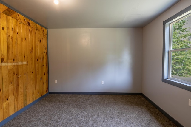 unfurnished room with carpet flooring