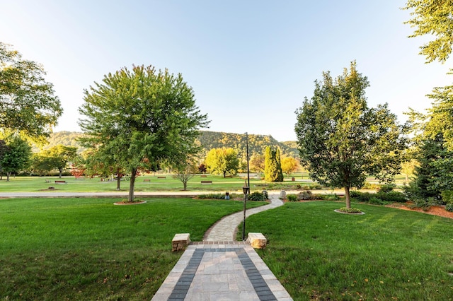 661 Market St, Winona, MN 55987 - surrounding community featuring a mountain view and a yard