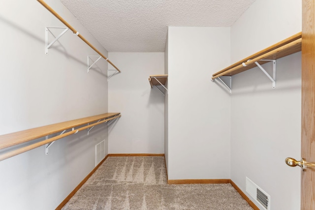 spacious closet with carpet flooring and visible vents