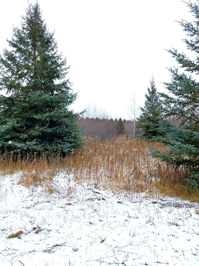 LOT2-TBD 330th St, Warroad, MN 56763