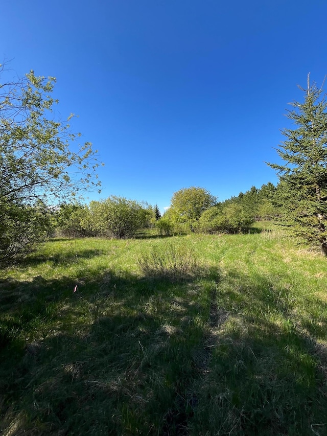 LOT2-TBD 330th St, Warroad, MN 56763