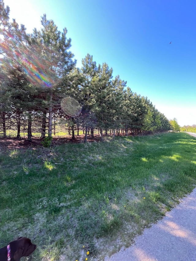 LOT2-TBD 330th St, Warroad, MN 56763