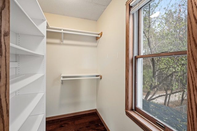 spacious closet featuring wood-type flooring