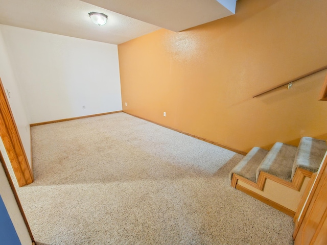 basement featuring carpet