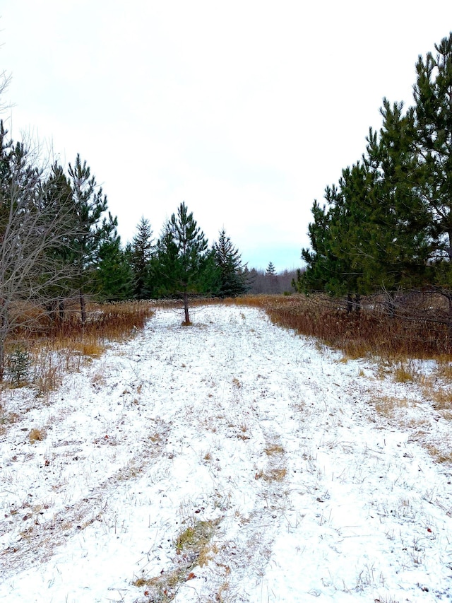 LOT3-TBD 330th St, Warroad, MN 56763