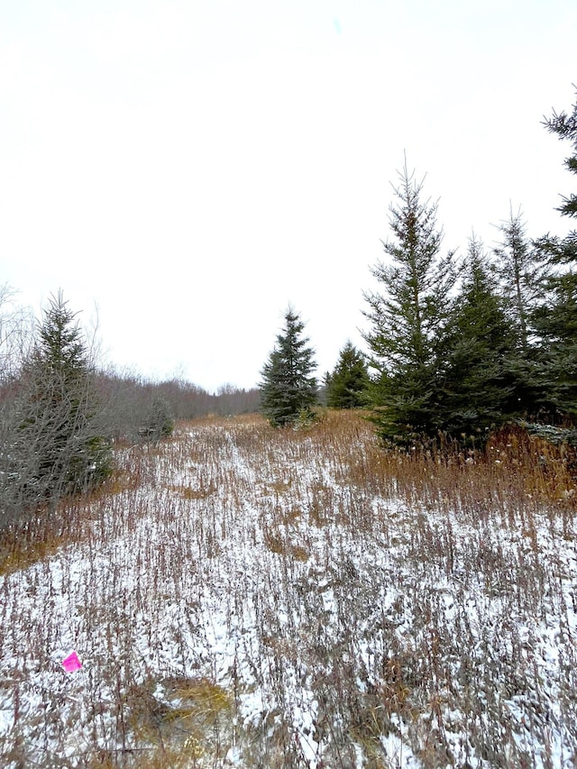 LOT3-TBD 330th St, Warroad, MN 56763