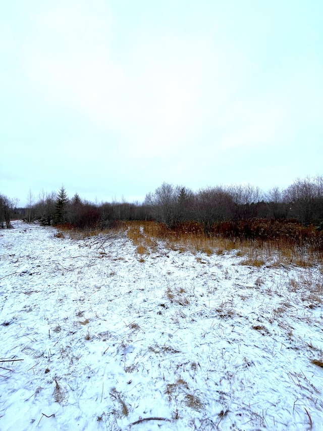 LOT3-TBD 330th St, Warroad, MN 56763