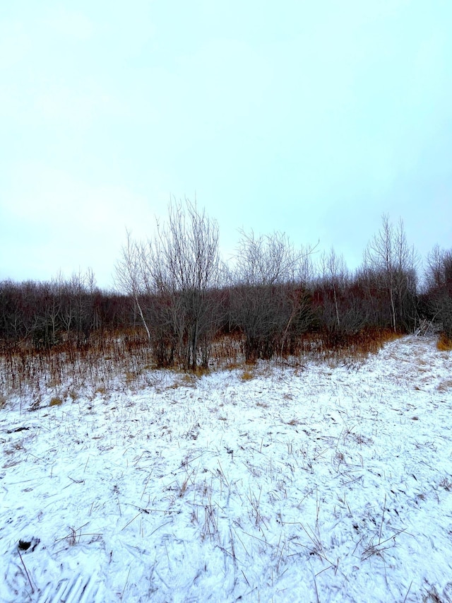 LOT3-TBD 330th St, Warroad, MN 56763