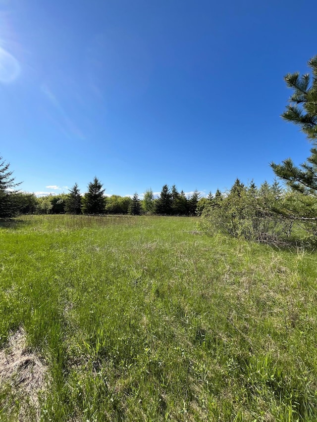 LOT3-TBD 330th St, Warroad, MN 56763