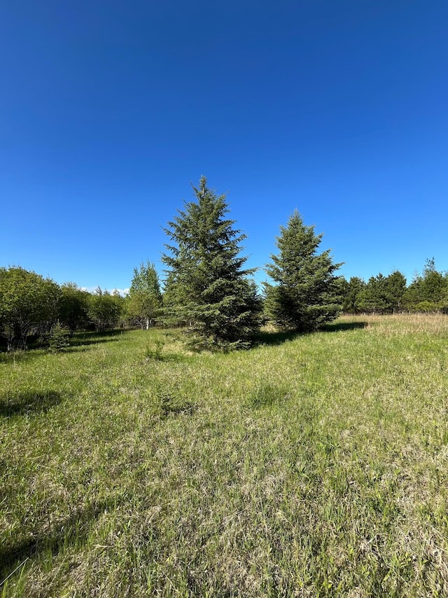 LOT3-TBD 330th St, Warroad, MN 56763