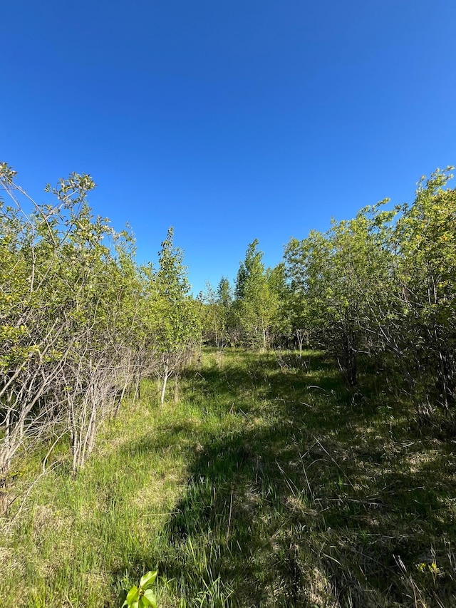 LOT3-TBD 330th St, Warroad, MN 56763