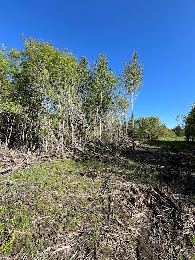 LOT3-TBD 330th St, Warroad, MN 56763