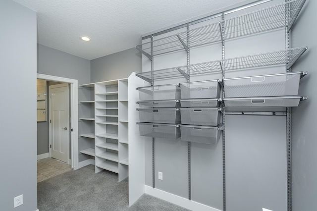 spacious closet featuring carpet flooring