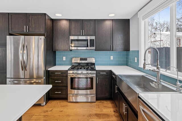 kitchen with sink, light hardwood / wood-style flooring, dark brown cabinets, stainless steel appliances, and decorative backsplash