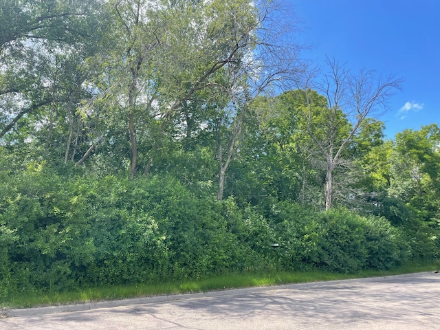 XXX Main St, Saint Paul Park MN, 55071 land for sale