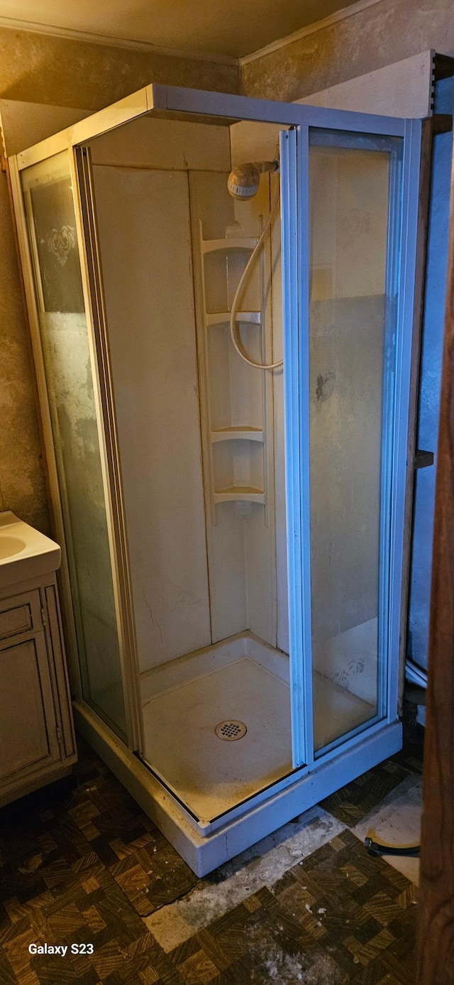 bathroom featuring vanity and a shower with shower door