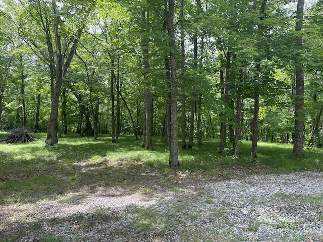 33820 County Highway 34, Sugar Bush E Twp, MN 56569 - view of wooded area