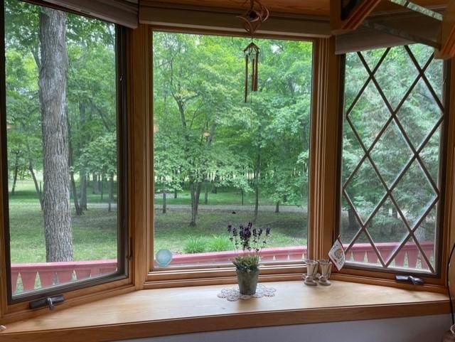 33820 County Highway 34, Sugar Bush E Twp, MN 56569 - detailed view