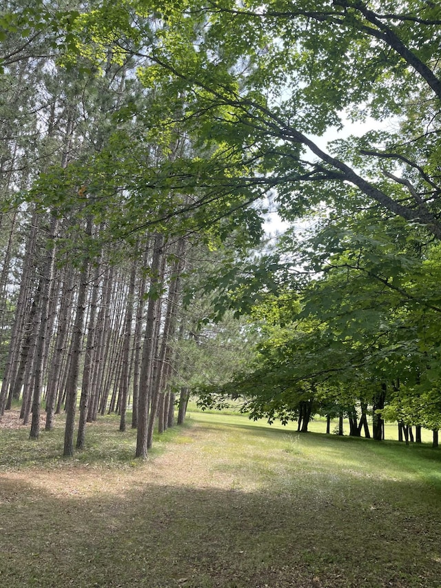 33820 County Highway 34, Sugar Bush E Twp, MN 56569 - view of yard
