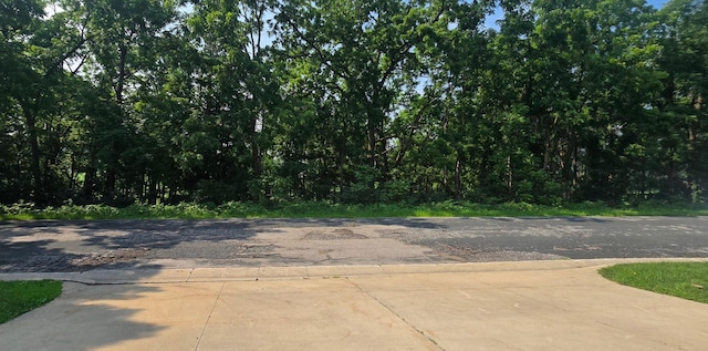 1003 Sunset Rd NW, Preston, MN 55965 - photo 79