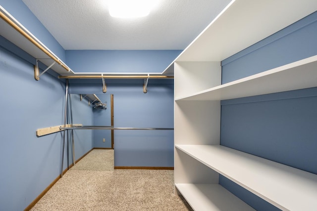 walk in closet featuring light carpet