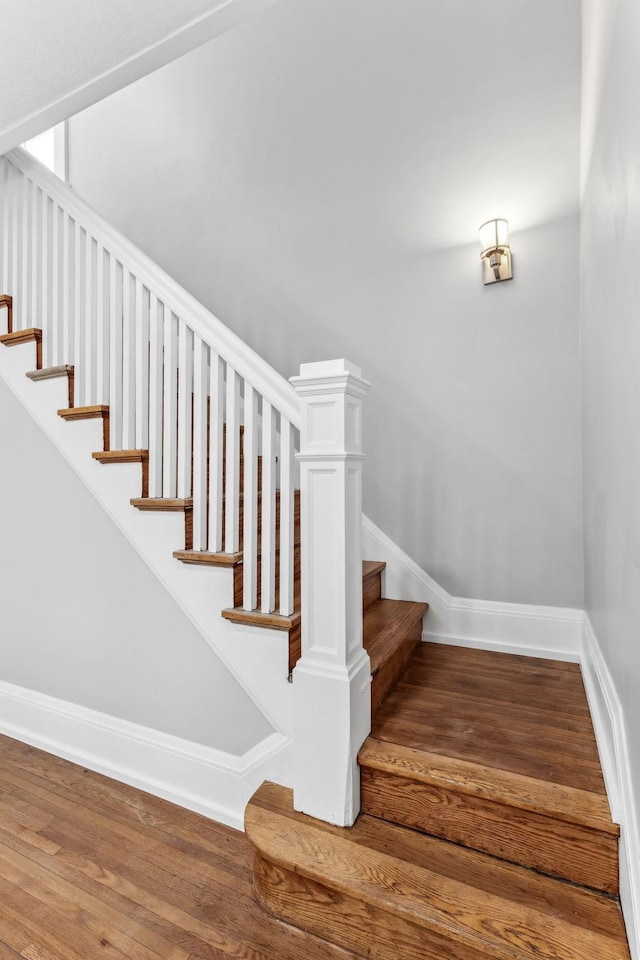 staircase featuring wood-type flooring