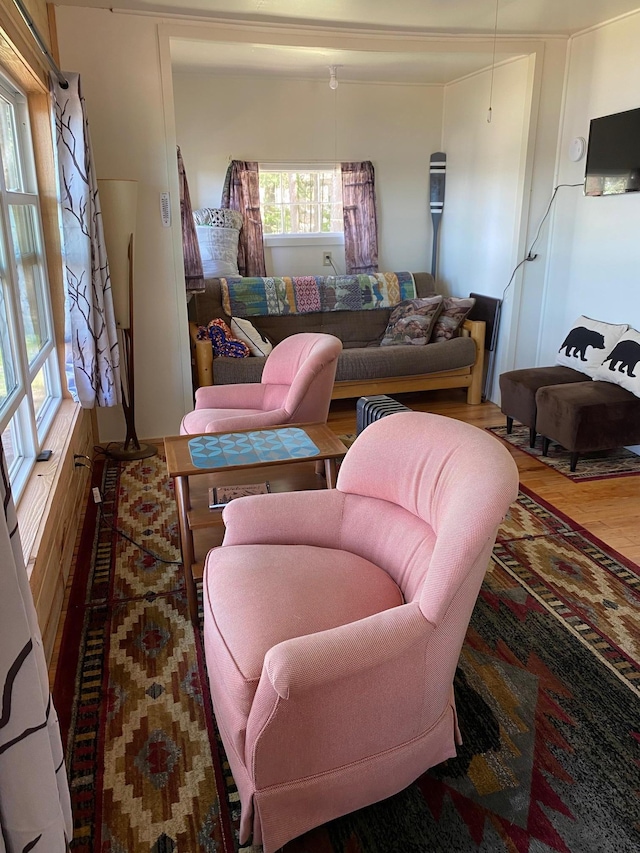 living room featuring hardwood / wood-style flooring