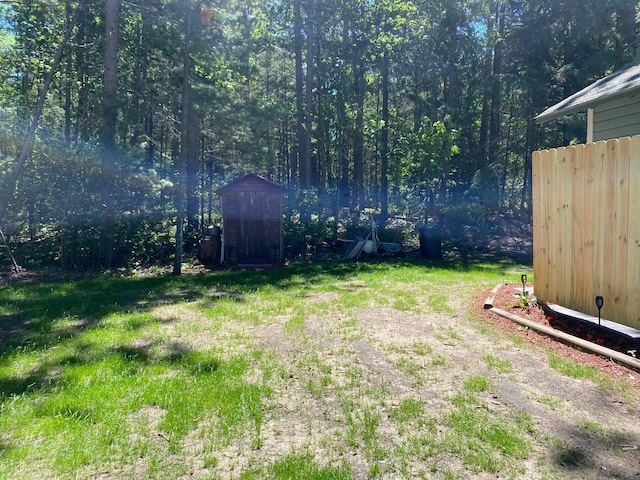 view of yard with a storage shed