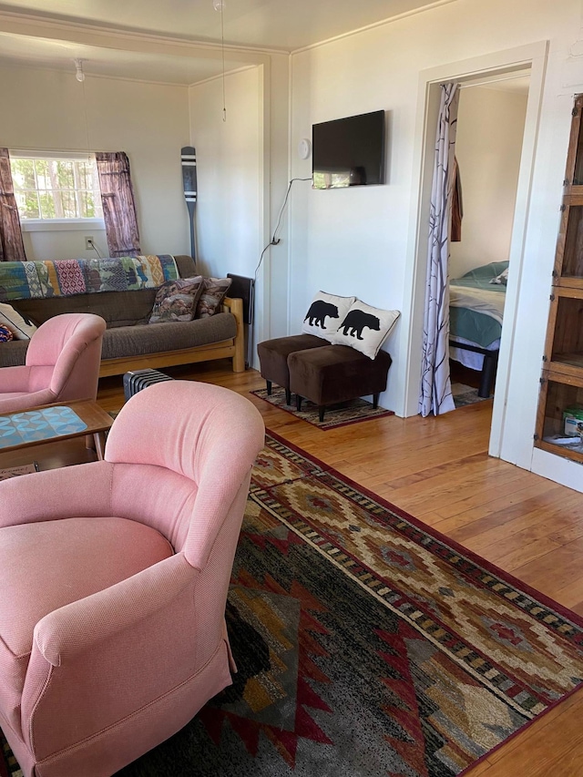 living room with hardwood / wood-style flooring