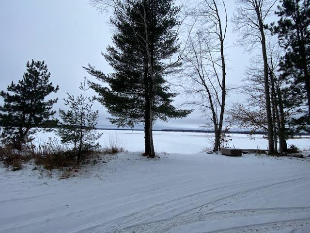 view of yard layered in snow