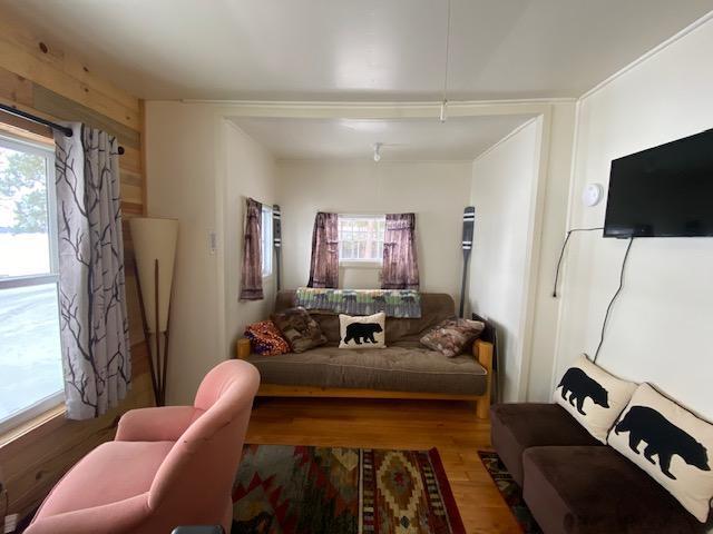 living area featuring a healthy amount of sunlight and wood finished floors