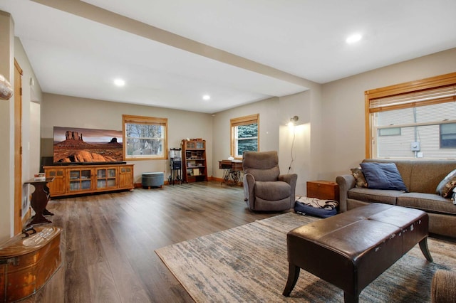 living room with hardwood / wood-style flooring