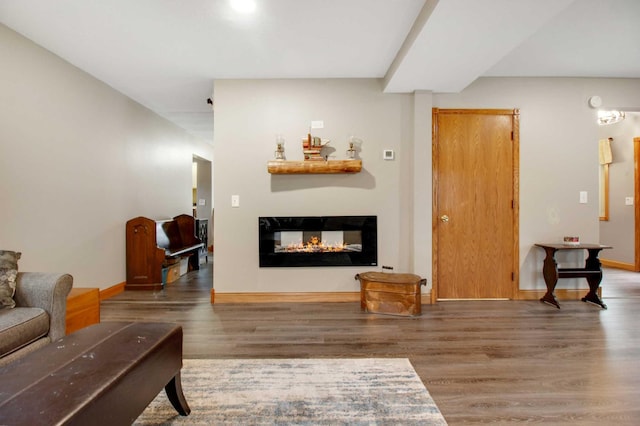 living room with a multi sided fireplace and hardwood / wood-style flooring