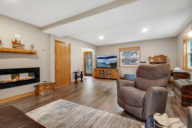 living room with wood-type flooring