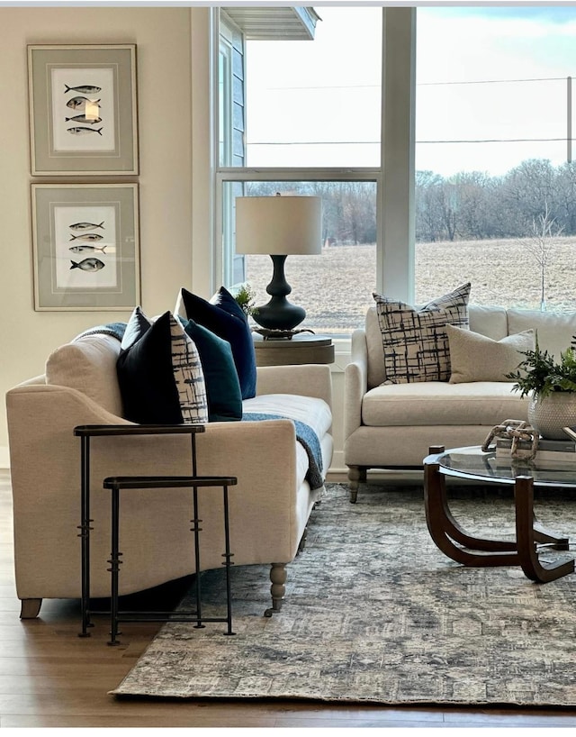 living room with hardwood / wood-style flooring