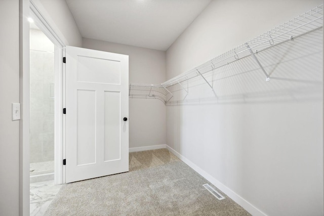 view of walk in closet