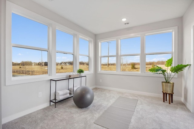 interior space featuring light colored carpet and plenty of natural light