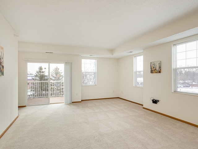 spare room featuring a wealth of natural light, light carpet, and a textured ceiling