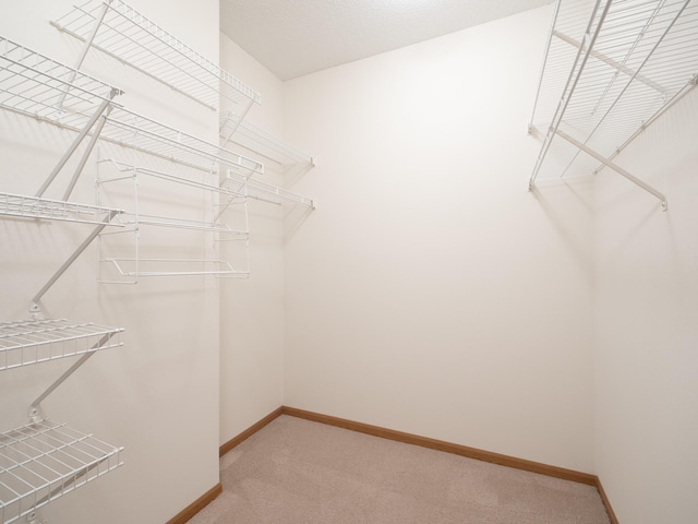 spacious closet with carpet floors