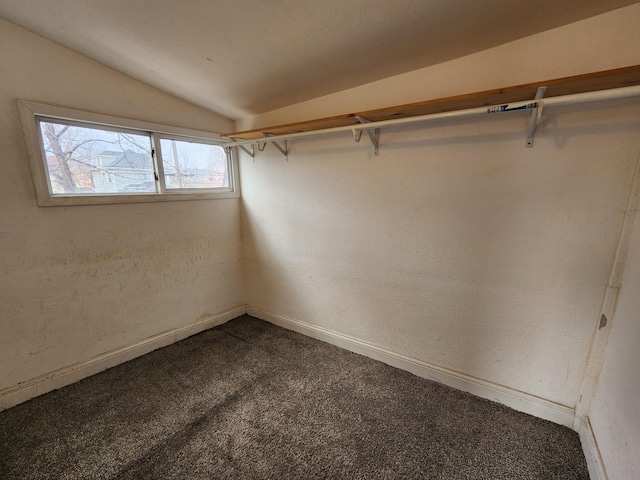 walk in closet featuring carpet floors and lofted ceiling