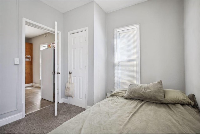 bedroom featuring carpet and a closet