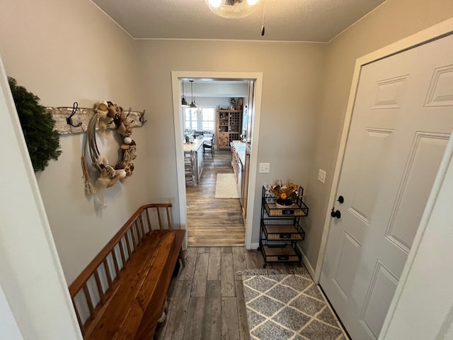 entryway featuring dark hardwood / wood-style flooring and a textured ceiling