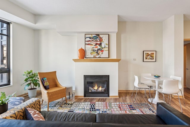 living room featuring hardwood / wood-style floors