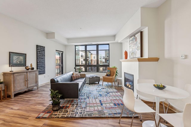 living room featuring light hardwood / wood-style flooring