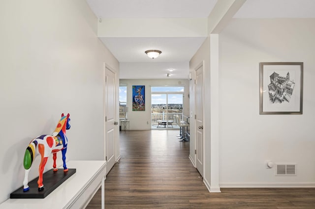 corridor featuring dark hardwood / wood-style flooring