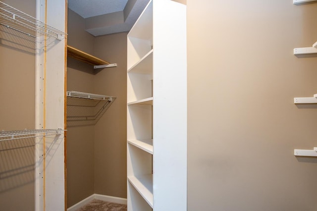 walk in closet featuring carpet flooring