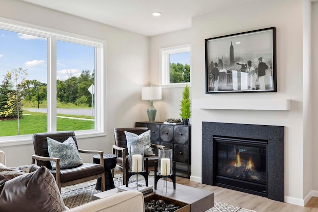 sitting room featuring light hardwood / wood-style floors and plenty of natural light