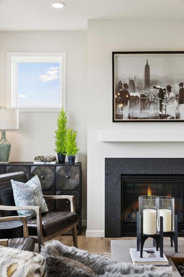 living room featuring light hardwood / wood-style floors