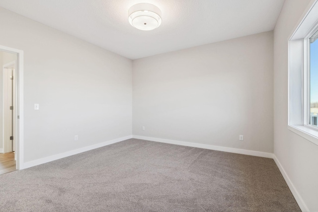 spare room with carpet flooring